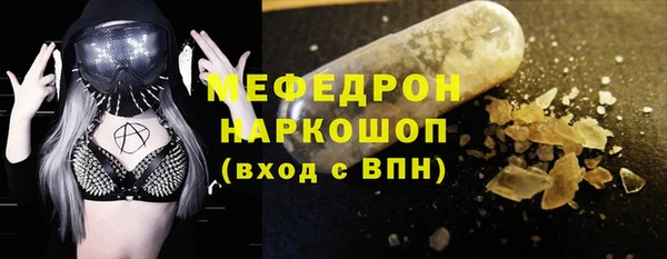 шишки Сатка