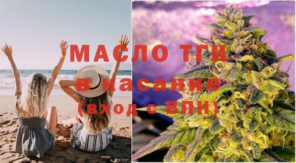 шишки Сатка