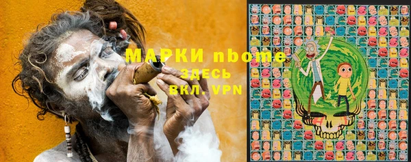 шишки Сатка