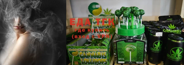 шишки Сатка