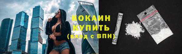шишки Сатка