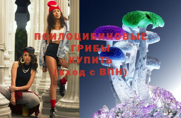 шишки Сатка