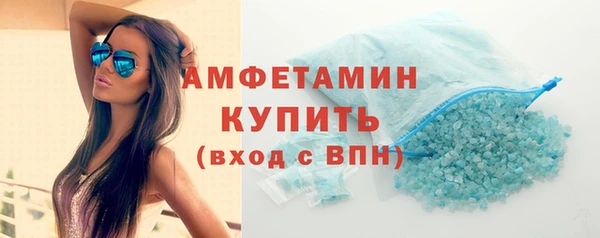 шишки Сатка