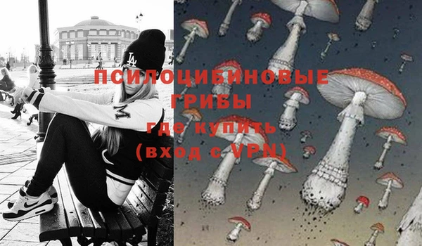 бошки Сафоново
