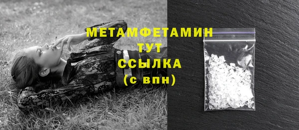 шишки Сатка