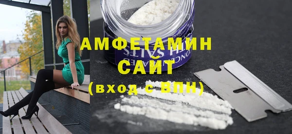 шишки Сатка