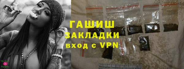шишки Сатка