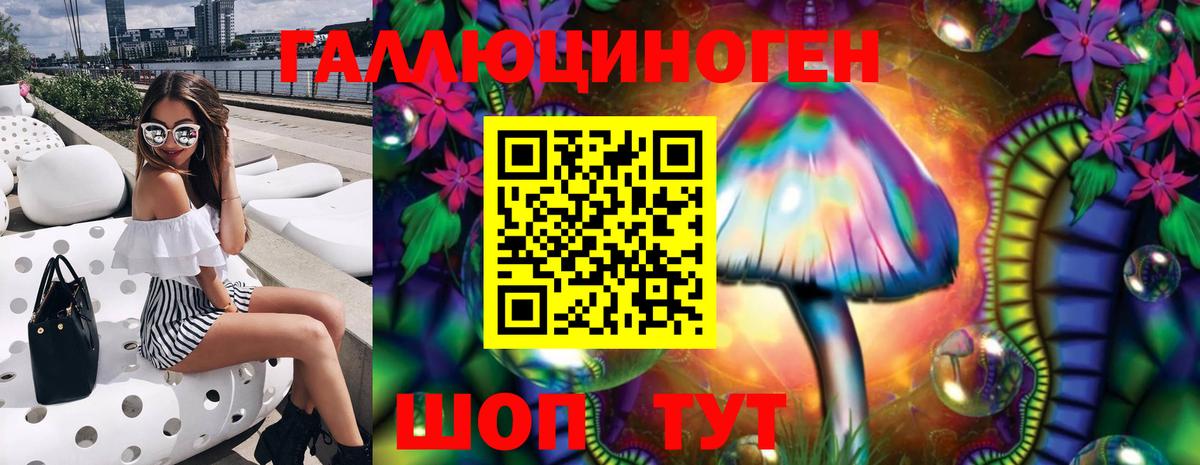 Галлюциногенные грибы Psilocybine cubensis Норильск