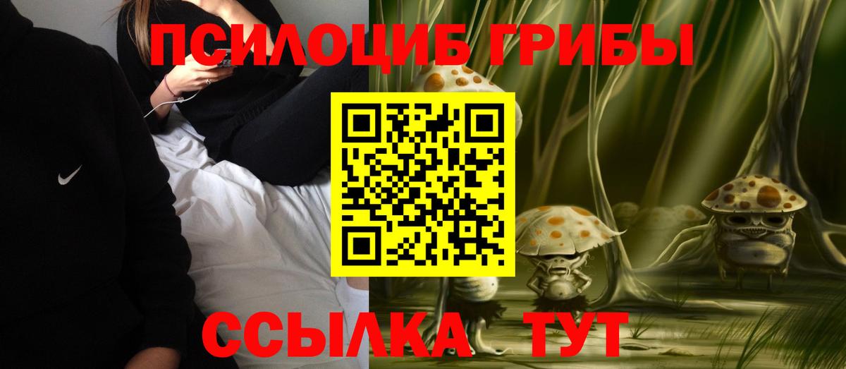 Норильск  Галлюциногенные грибы Psilocybe  Псилоцибиновые грибы мухоморы  где можно купить   Вход с VPN 